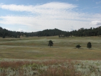 Wind Cave National Park